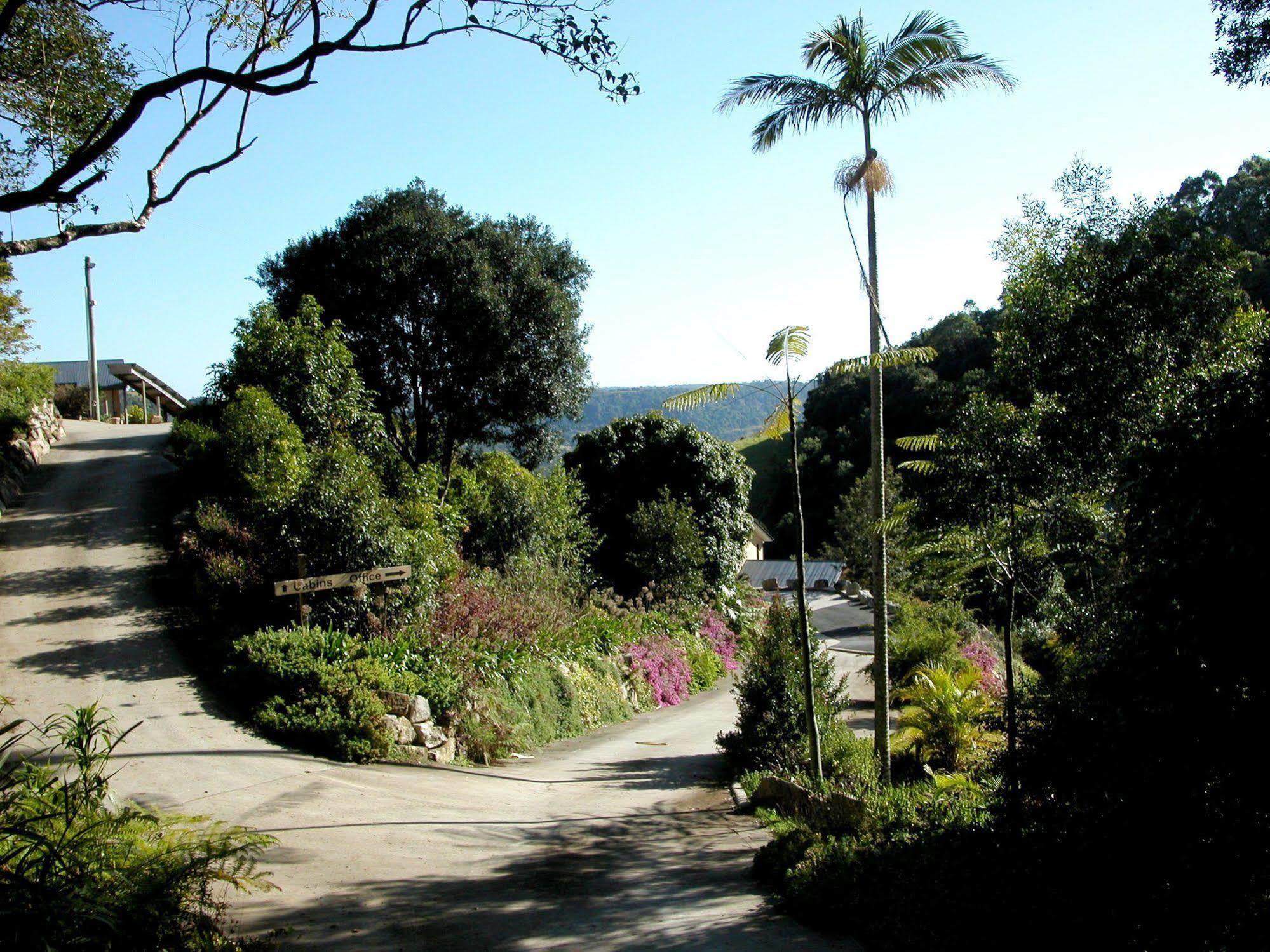 Top Of The Hill Maleny Eksteriør bilde